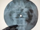 BEATLES COME TOGETHER X-Ray USSR Record Roentgen Bone Ribs Music Vinyl