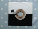 Blondie X Offender /In The Sun 2 Track Vinyl 7