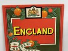 RARE PROG. ENGLAND - GARDEN SHED 1977 ARISTA ORIGINAL UK LP 1st PRESSING ARTY153