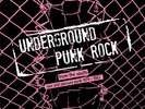 Various Artists Underground punk rock: From the vaults - rar (Vinyl) (UK IMPORT)