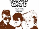 STRAY CATS 