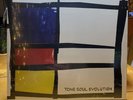 The Apples In Stereo Tone Soul Evolution SEALED Gatefold Yep Roc Records