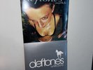 Vinyl Bundle Deftones Around the Fur White Pony Records NEW LPs