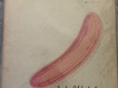 The Velvet Underground Nico 1st GERMAN RAAAR