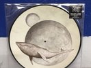 Gojira ‎From Mars To Sirius 2LP Picture Disc Limited Edition Vinyl New