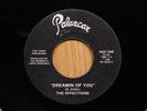 The Effections Unlisted 1983 Power Pop Michigan 45 Dreamin Of You on Palancar