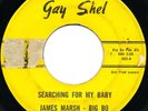 JAMES MARSH Searching For My Baby NORTHERN DEEP SOUL Texas GAY SHEL - HEAR