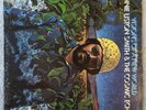 LONNIE LISTON SMITH & THE COSMIC ECHOES Visions Of A New World LP original 1975