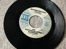 Thirteenth Floor Elevators Reverbaration (Doubt)/Fire Engine RARE  Promo Psych