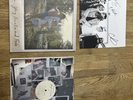 The Glorious Sons ‎Young Beauties And Fools Clear Lmt Edition Autographed Vinyl