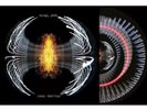 PEARL JAM Dark Matter Zoetrope Blood Records Exclusive Limited 778/1000 IN HAND