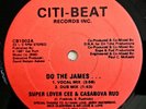 1987 - SUPER LOVER CEE & CASANOVA RUD - DO THE JAMES - CITI-BEAT FIRST PRESSING