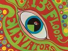 13TH FLOOR ELEVATORS - Psychedelic Sounds Facsimile. Mono - New Viny - D600z