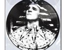 Steve Martin & The Toot Uncommons King Tut (RSD Black Friday 2024) (Vinyl)