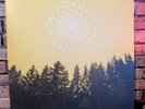 DECEMBERISTS The King Is Dead CAPITOL 2011 Rock VINYL LP Record