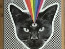 *SEALED* Never Shout Never - Black Cat BLUE GREEN SWIRL vinyl record Rare & OOP