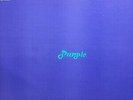 Shinsaibashi  MIROSLAV VITOUS PURPLE (SOPC57101)