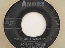Northern Sweet Soul 45 LEONARD WAYNE & THE HI-TONES That's All I Want To Do HEAR