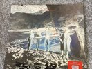 ECHO AND THE BUNNYMEN Silver RSD24 Black Friday 12