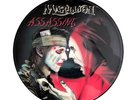 MARILLION  PICTURE DISC,  ASSASSING