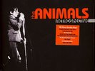 Animals - Retrospective (Vinyl 2LP - 2022 - Original)