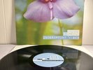 DJ Cam – Underground Vibes / Reissue / 2001 / 12