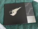 FINAL FANTASY VII REMAKE and FF VII Vinyl Limited 2 LP Music FF 7