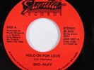 Modern Soul Boogie 45 SHO-NUFF Hold on for Love JAMILA NM HEAR a