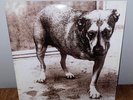 Alice in Chains - Self-Titled Tripod - 2x LP Light Green Vinyl NM w Poster.