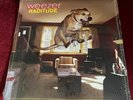 Weezer - Raditude - Sealed 180 Gram Vinyl LP (blink 182 green day dinosaur jr)