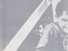 sonic youth / mudhoney split 12