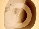 USSR X-RAY SKULL ROENTGEN BONES RECORD ORIGINAL OLD RIBS 806
