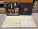 The Stooges Rhino High Fidelity Vinyl LP