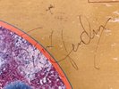 LP Are you Experienced signed JIMI HENDRIX