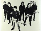 Radio Birdman - Radios Appear LP - Sire SEALED