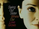Pre Sale: 2024-12-31. | Swing Out Sister |  Vinyl LP | Where Our