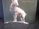 Incantation – Tribute To The Goat 2016 Season Of Mist Underground Activists