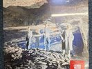 ECHO AND THE BUNNYMEN Silver RSD24 Black Friday 12