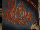 TOMMY MCCOOK & BOBBY ELLIS LP BLAZING HORNS T289
