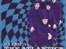 Atlantics With Johnny Rebb ORIG GRE LP It's a hard life Mint 2024 Garage Surf