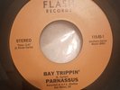 Parnassus Bay trippin'/Hey love Flash rare Bay Area Northern Soul