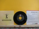 ECHO & THE BUNNYMEN - Bring on the Dancing Horses 7