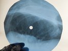 BEATLES PLEASE PLEASE ME X-Ray USSR Record Roentgen Bone Ribs Music Vinyl