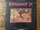 Rare Dinosaur Jr. Little Fury Things Vinyl Red Translucent 10inch SST VG