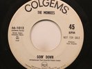 Rock Promo 45 The Monkees - Goin' Down / Daydream Believer On Colgems