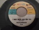 THE FLAMINGOS - 