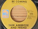 SAM AMBROSE -THEY'LL BE COMING - CRAZY HORSE