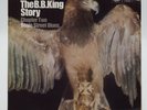 B B King The B B King Story Chapter Two 12