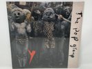The Pop Group : Y VINYL Expanded  12