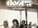 The Doors – In The Beginning - LP Vinyl Record 12